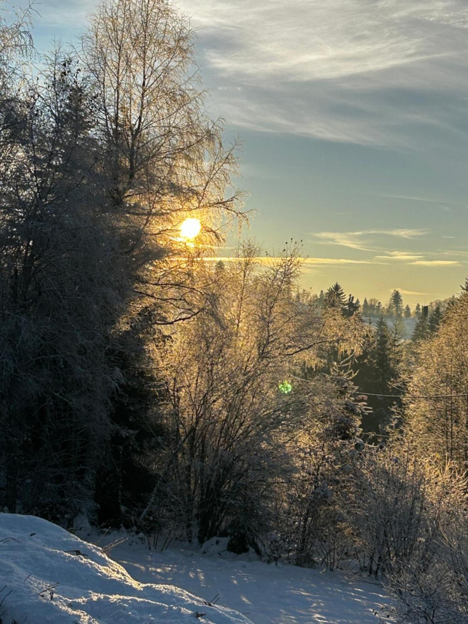 Chalet Avec Jacuzzi Prive, Vue Sur Les Vosges Belfahy 外观 照片